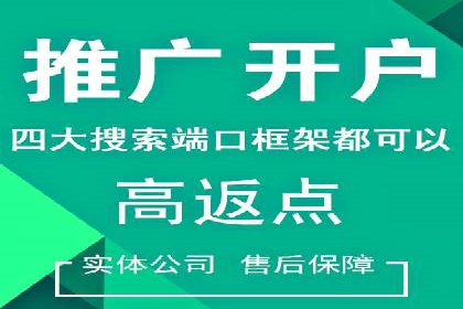 从新手到高手：百度竞价实战案例分析